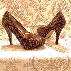 Madden Girl Brown Snakeskin Print Fabric Heels, 7